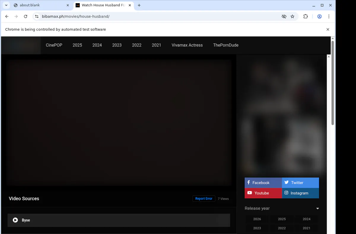 Bibamaxph Video Downloader browser extension screenshot 4